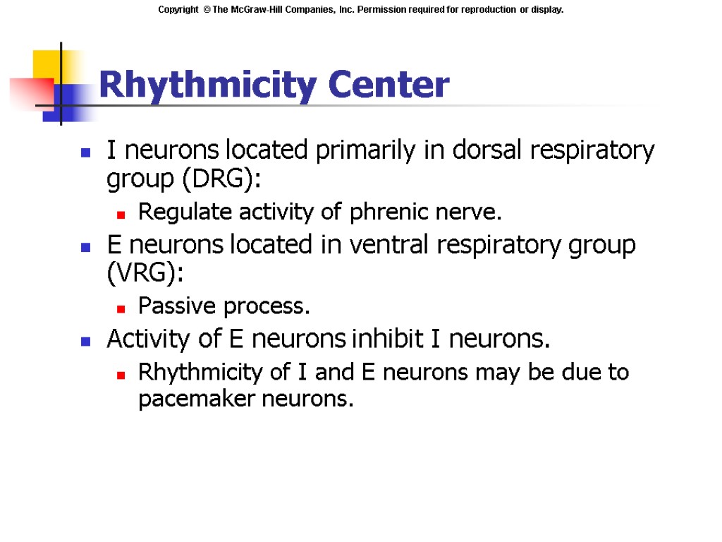 Rhythmicity Center I neurons located primarily in dorsal respiratory group (DRG): Regulate activity of